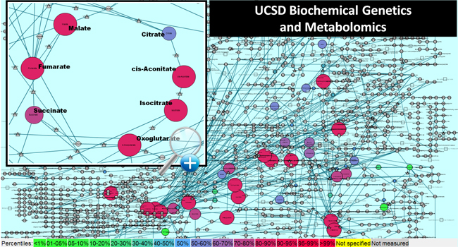 Metabolomics_Cartoon